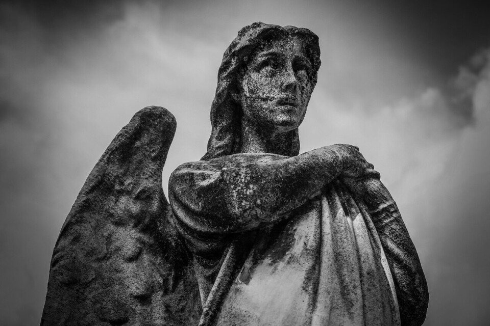 angel, art, religion, religious, sculpture, statue, cemetery, wings, angel wings, angel statu, angel sculpture, graveyard, monochrome, black and white, angel, angel, angel, angel, angel, statue, statue, graveyard