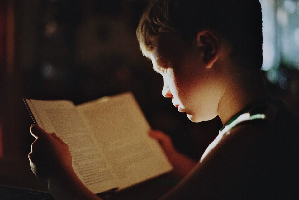 boy, book, reading, literature, read, education, study, studying, knowledge, focus, student, kid, child, young, reading, reading, education, education, education, study, study, study, study, study, studying, knowledge, focus, focus, student, student, student, student