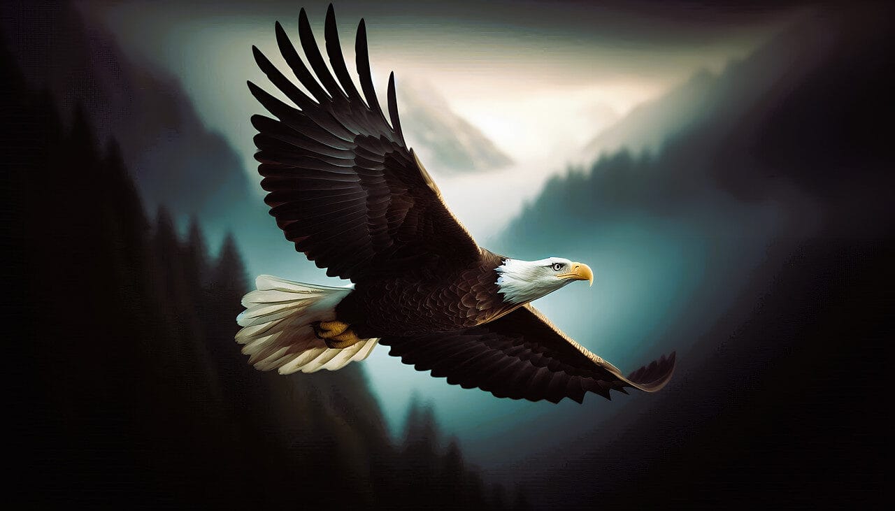 eagle, bird, nature, bird of prey, bald eagle, wildlife, flying, white-tailed eagle, closeup, ai generated
