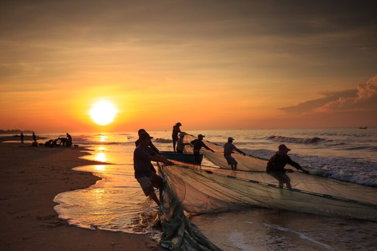 fishermen, vietnam, nature