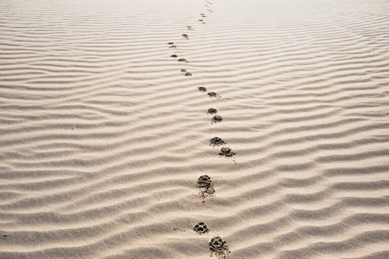 footprints on sand