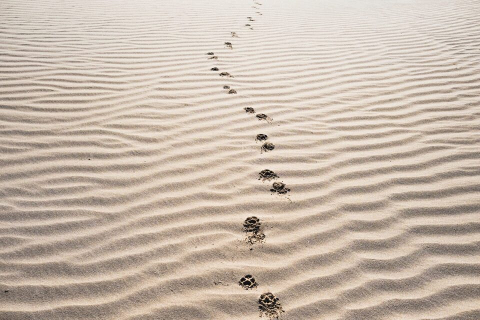 footprints on sand