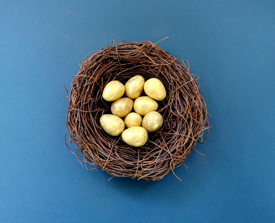 White eggs in brown nest