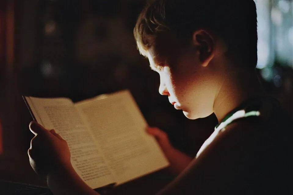 boy, book, reading, literature, read, education, study, studying, knowledge, focus, student, kid, child, young, reading, reading, education, education, education, study, study, study, study, study, studying, knowledge, focus, focus, student, student, student, student